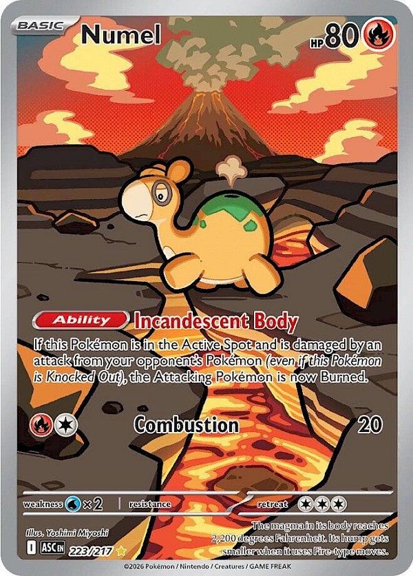 Numel - 223/217 (Ascended Heroes)
